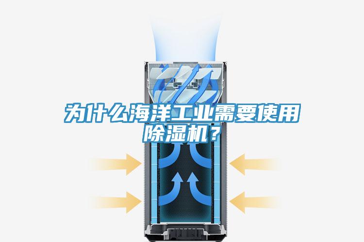 為什么海洋工業需要使用除濕機？