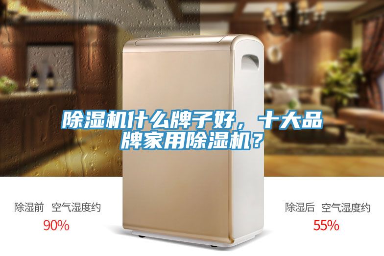 除濕機什么牌子好，十大品牌家用除濕機？