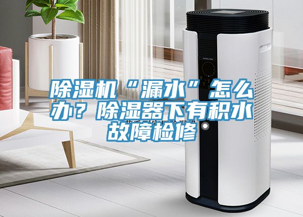 除濕機“漏水”怎么辦？除濕器下有積水故障檢修