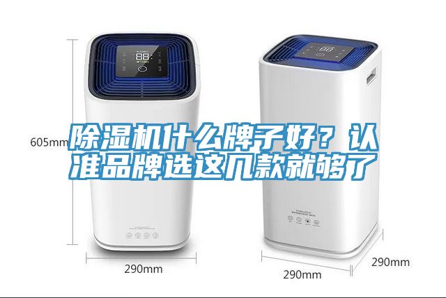 除濕機什么牌子好？認準品牌選這幾款就夠了