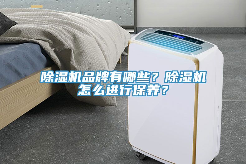 除濕機品牌有哪些？除濕機怎么進行保養？