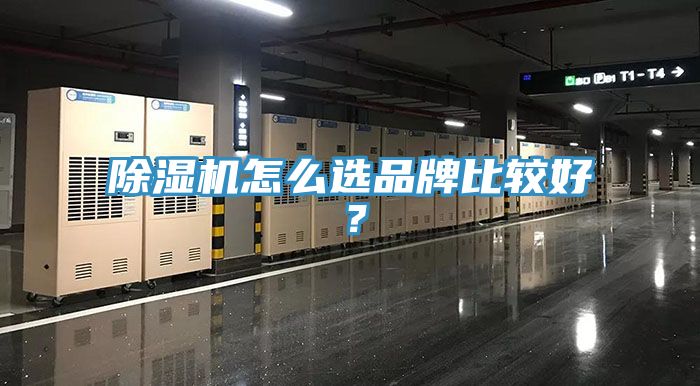 除濕機怎么選品牌比較好？