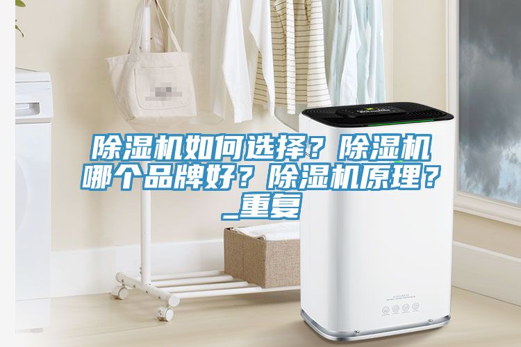 除濕機如何選擇？除濕機哪個品牌好？除濕機原理？_重復