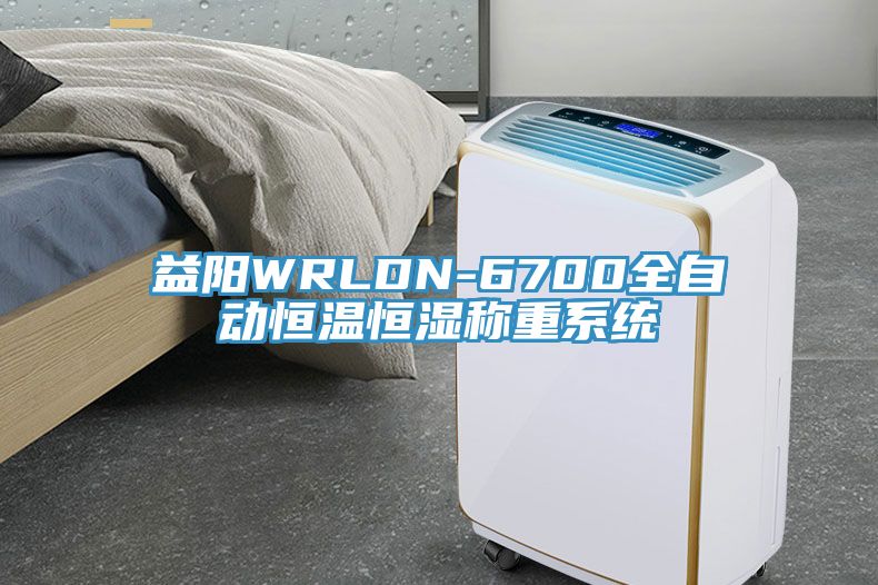 益陽WRLDN-6700全自動恒溫恒濕稱重系統